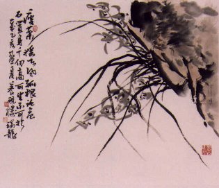 ChinaOrchids3.jpg (23366 bytes)