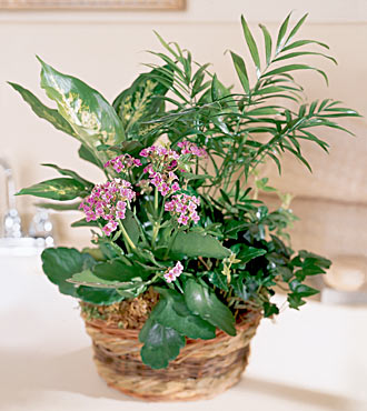 The FTD� French Garden