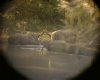 Rhino�s bathing (taken through binoculars).