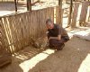 At the Lion Park in Lanceria. Me with a four month old cub.