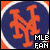 Bseball Fan