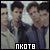 New Kids on the Block Fan
