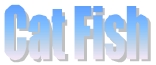 Cat Fish