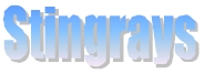Stingrays