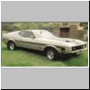 Marcos' 72 Mustang