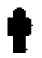 wpe9F.jpg (1027 bytes)