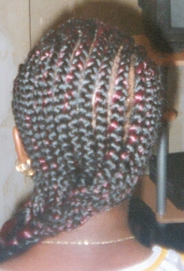 Long Braids Back View.