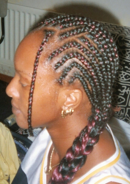 Long Braids Left Side View.