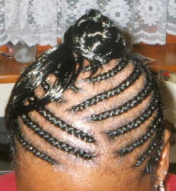 Semi-Circular Corn-row Front View