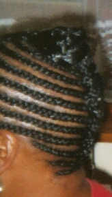 Semi-Circular Corn-row Side View