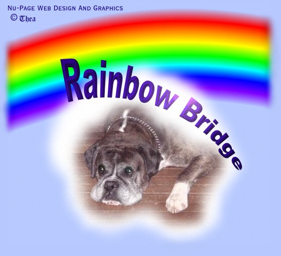 Logo for Raindow Page