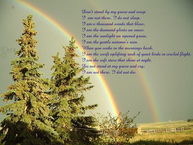 Please do not copy this picture. Thank you