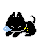 the cat is just like me&nbsp; :giggle::