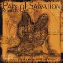 painofsalvation_remedy.jpg (4034 bytes)