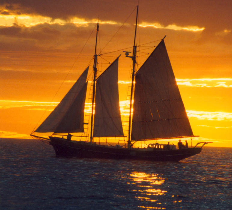 yacht, fishing and whale spotting charters available