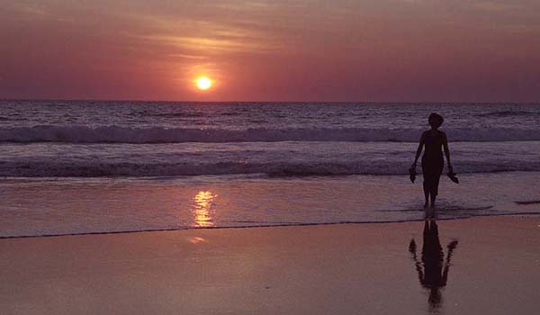 have a sunset walk