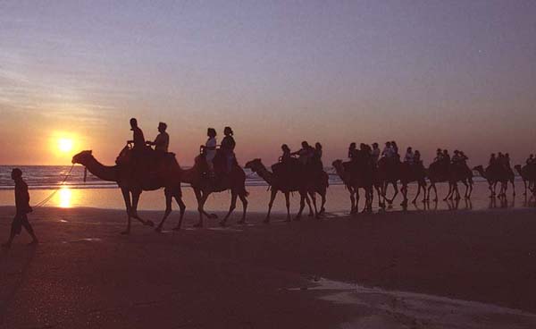 nude beach camels