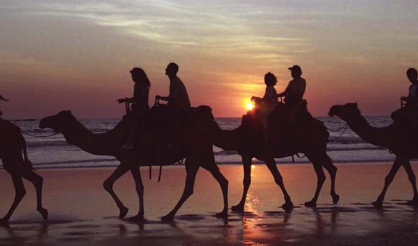 camels, surboards,sailboats, umbrellas, jetskis, lockers and other stuff for hire on cable beach