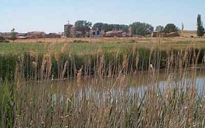 El pueblo desde el Canal de Castilla