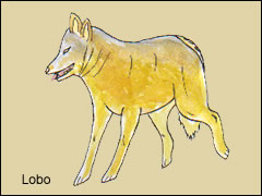 El lobo, antecedente salvaje del perro