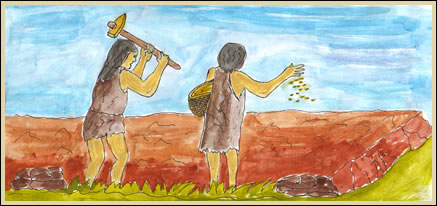 Cultivo de trigo