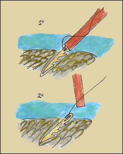 T&eacute;cnica de pesca mediante arp&oacute;n