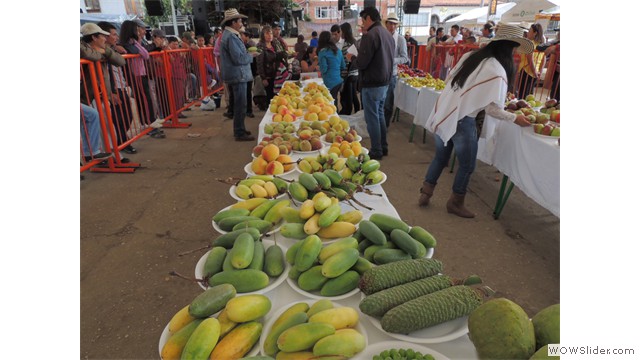 Feria Exposición Fruticola
