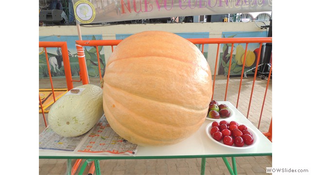 Feria Exposición Fruticola