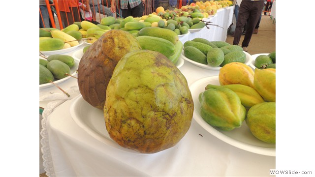 Feria Exposición Fruticola