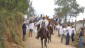 Cabalgata