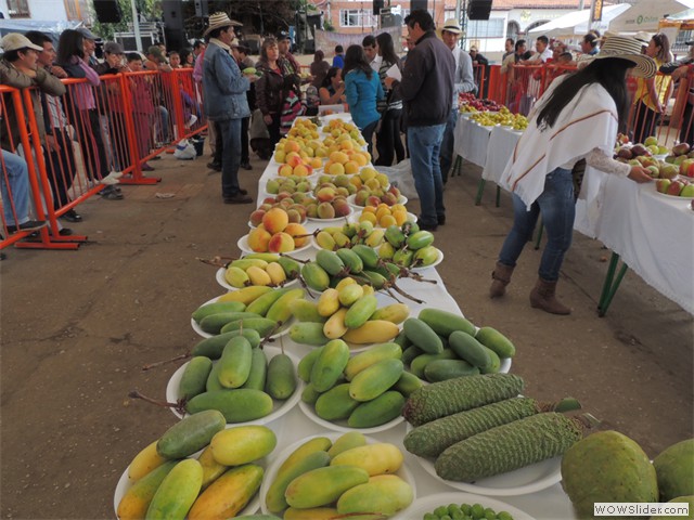 Feria Exposición Fruticola