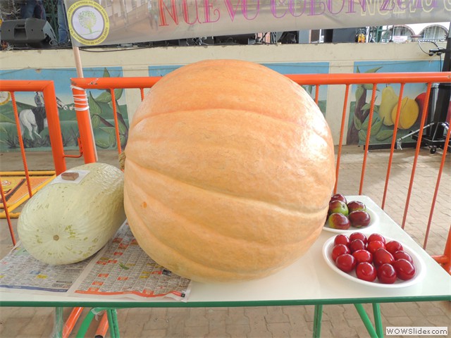 Feria Exposición Fruticola