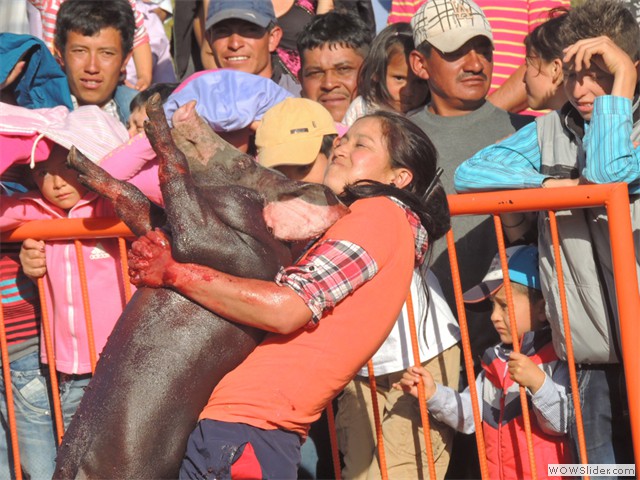 Concurso marrano engrasado
