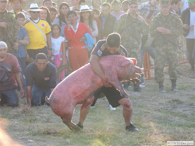 Concurso marrano engrasado