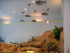 http://www.geocities.ws/nufihel/PICT0077_small.JPG