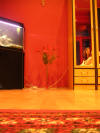 http://www.geocities.ws/nufihel/PICT0098_small.JPG