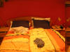 http://www.geocities.ws/nufihel/PICT0101_small.JPG