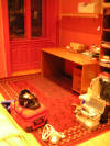 http://www.geocities.ws/nufihel/PICT0102_small.JPG
