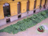 http://www.geocities.ws/nufihel/PICT0123_small.JPG