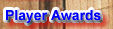 player awards