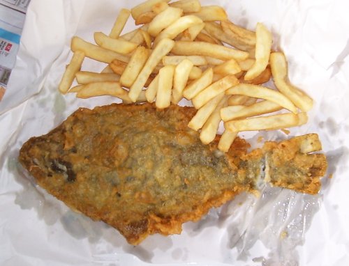 Flounder