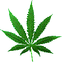 Marijuana Pictures