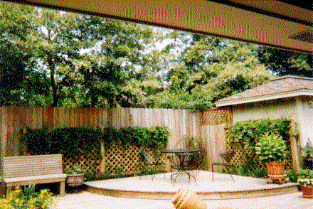 Garden 1
