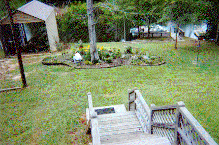 Looking at the boat slip from deck