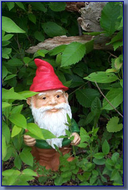 Gnomes