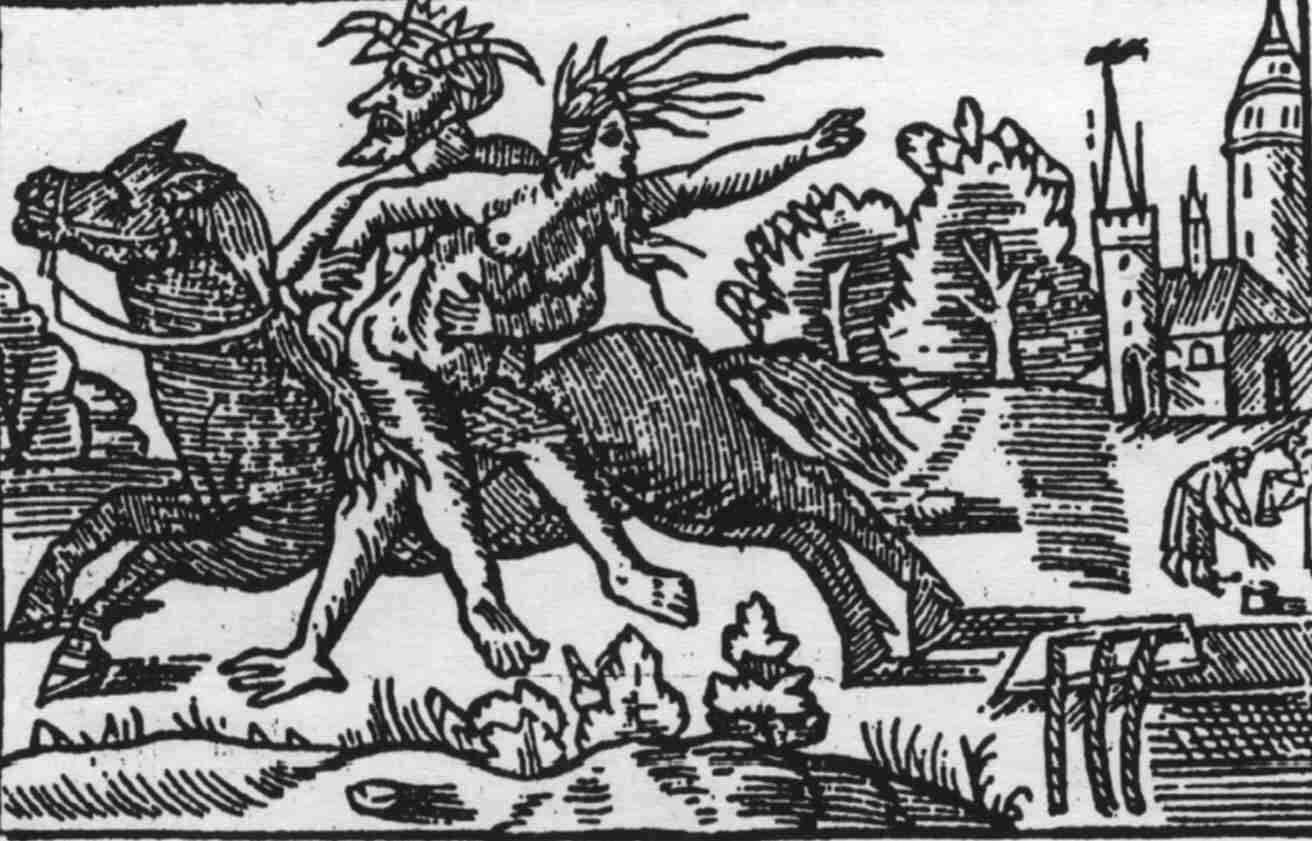 magnus