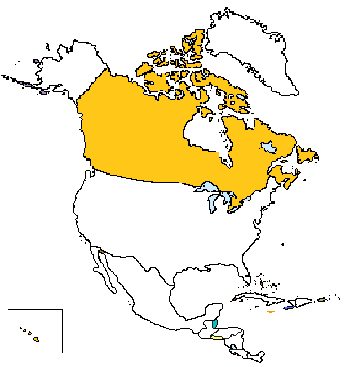 I've been to Canada