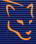 Jaguar Software Development - Check Imaging