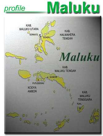ambon.jpg (60830 bytes)