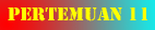 pertemuan11